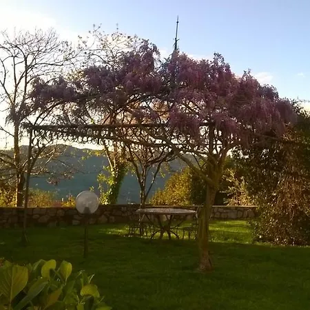 Il Nido Della Rondine