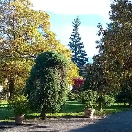 Il Nido Della Rondine *